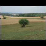PICT0563.jpg