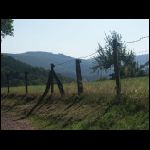 PICT0653.jpg