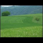 PICT0282.jpg