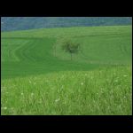 PICT0284.jpg