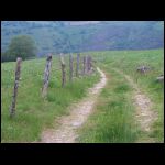 PICT0299.jpg