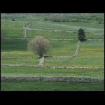 PICT0435.jpg