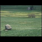 PICT0521.jpg