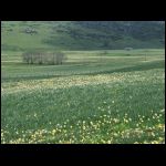 PICT0527.jpg