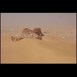 segypt_0836.jpg