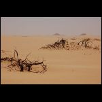 segypt_0992.jpg