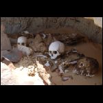 segypt_1021.jpg