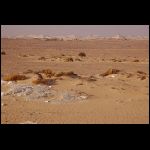 segypt_1118.jpg