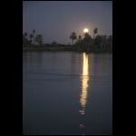 segypt_3641.jpg