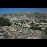 jordanie_392.jpg