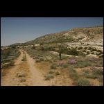 jordanie_400.jpg