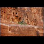jordanie_457.jpg