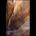 jordanie_731.jpg