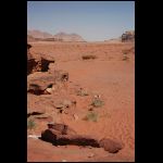 jordanie_843.jpg