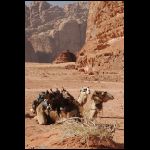 jordanie_875.jpg