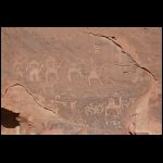 jordanie_883.jpg
