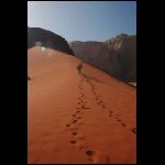 jordanie_886.jpg