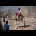 jordanie_931.jpg