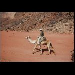 jordanie_941.jpg
