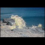 lanza_264.jpg