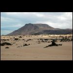 lanza_224.jpg