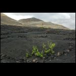 lanza_168.jpg