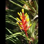 martinique_232.jpg