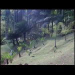 martinique_242.jpg