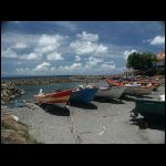 martinique_161.jpg