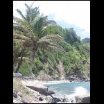 martinique_166.jpg