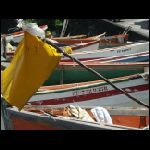martinique_167.jpg