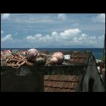 martinique_169.jpg