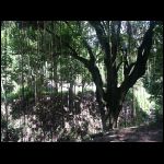 martinique_170.jpg