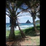 martinique_171.jpg