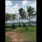 martinique_177.jpg