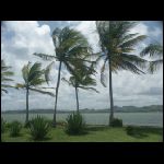 martinique_178.jpg