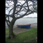 martinique_182.jpg