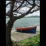 martinique_183.jpg
