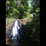 martinique_197.jpg