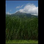 martinique_002.jpg