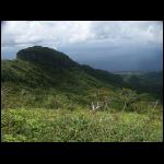 martinique_088.jpg