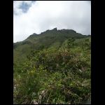 martinique_089.jpg