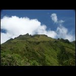 martinique_096.jpg