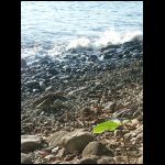 martinique_013.jpg