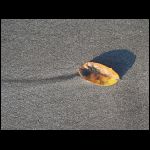 martinique_018.jpg