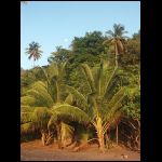 martinique_019.jpg