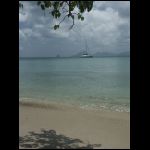 martinique_280.jpg