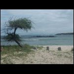 martinique_284.jpg