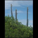martinique_287.jpg