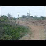 martinique_290.jpg